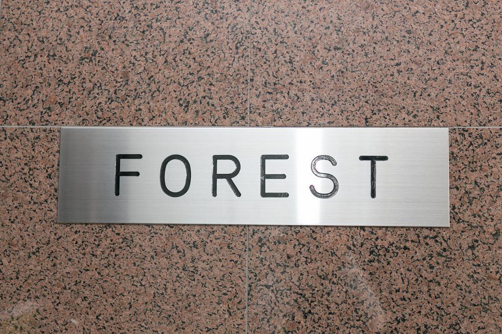 Forest *